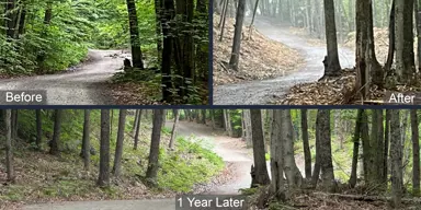 Before, after and one year later photos of a road in Lake of Bays following a vegetation control program showing the difference between the process checkpoints 